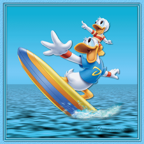 Surf Ducks